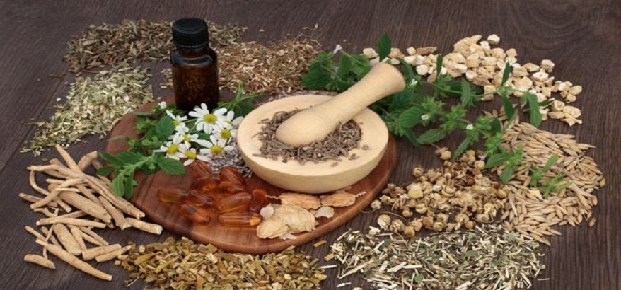 Amankah Obat Tradisional Sebagai Alternatif Pelengkap Obat Untuk Menyembuhkan Penyakit